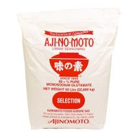 UMAMI SEASONING MSG 22,86KG AJINOMOTO - 1